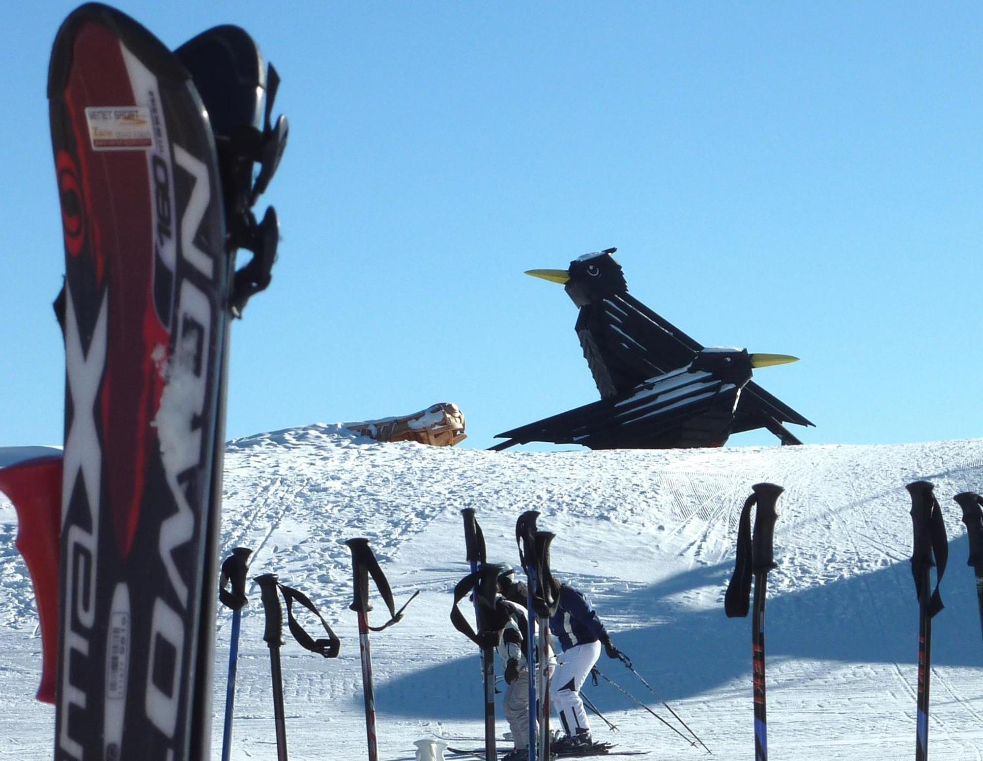 Europa Pension Tirol Fliess Esterno foto